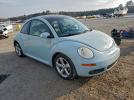 Volkswagen Beetle Image 4