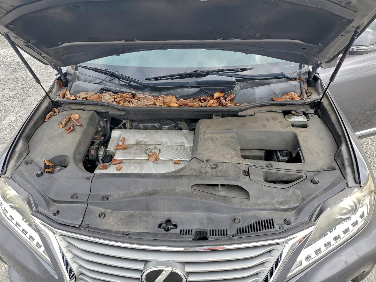 Lexus RX 350 Image 6