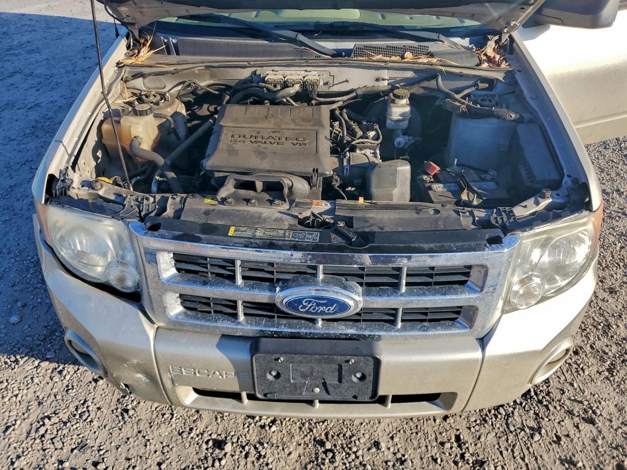 Ford Escape Xlt Image 8