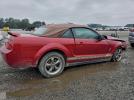 Ford Mustang Image 12