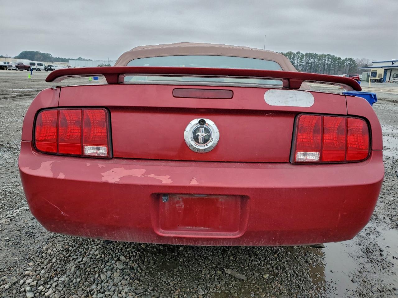 Ford Mustang Image 2