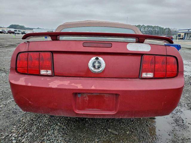 Ford Mustang Image 2