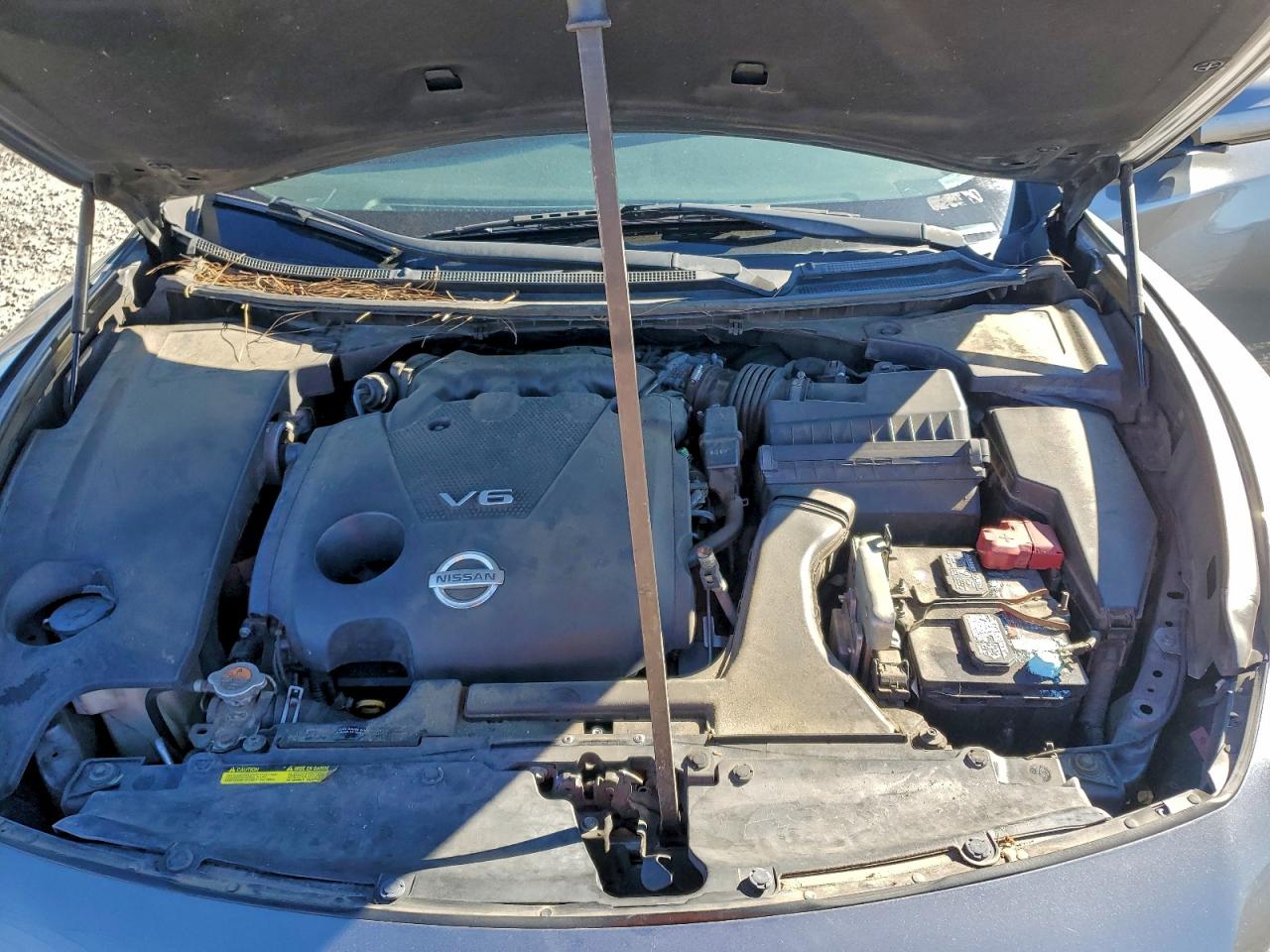 Nissan Maxima S Image 9