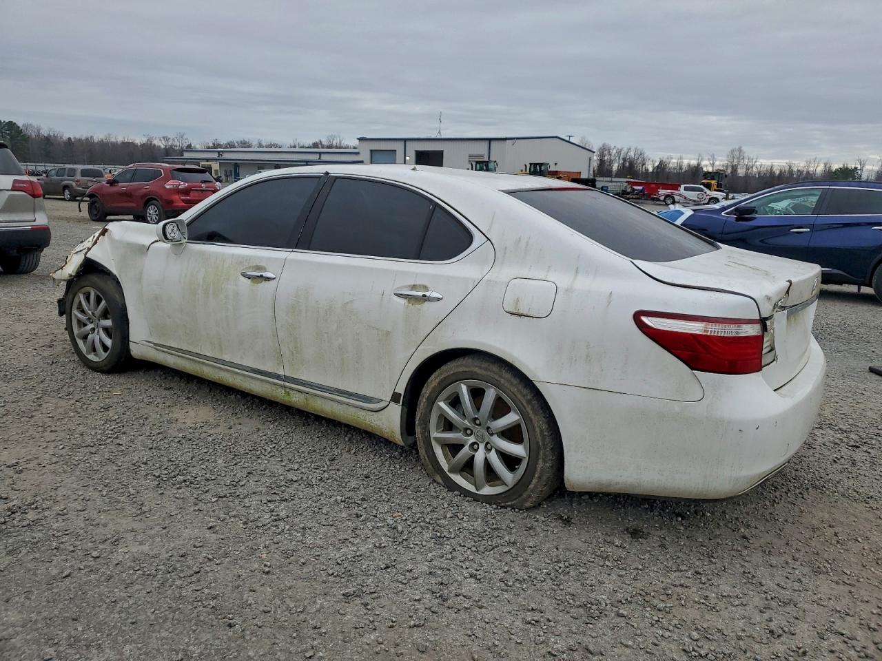 Lexus LS 460 Image 6