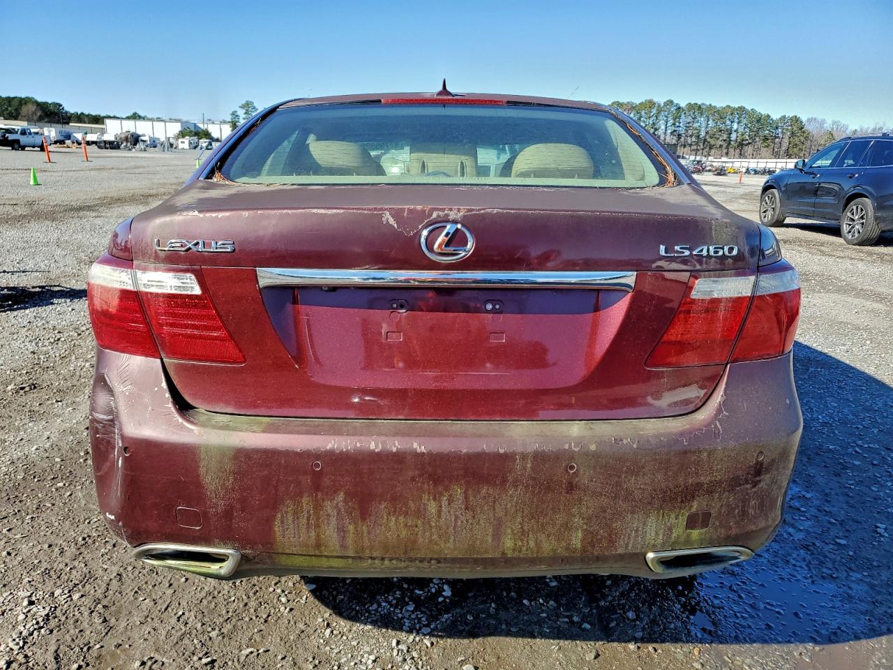 Lexus LS 460 Image 8