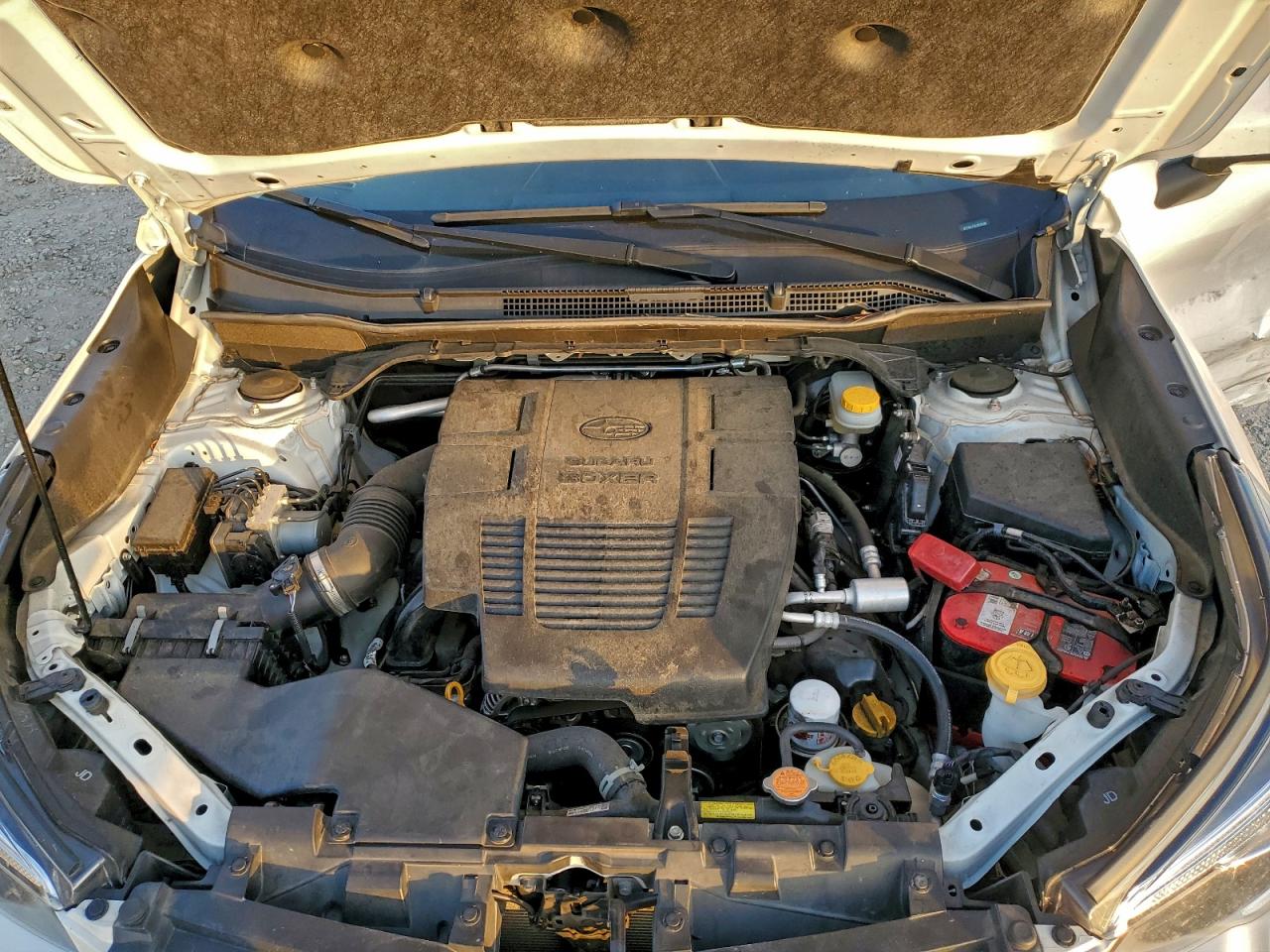 Subaru Forester Premium Image 9