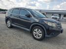 Honda Crv Exl Image 4