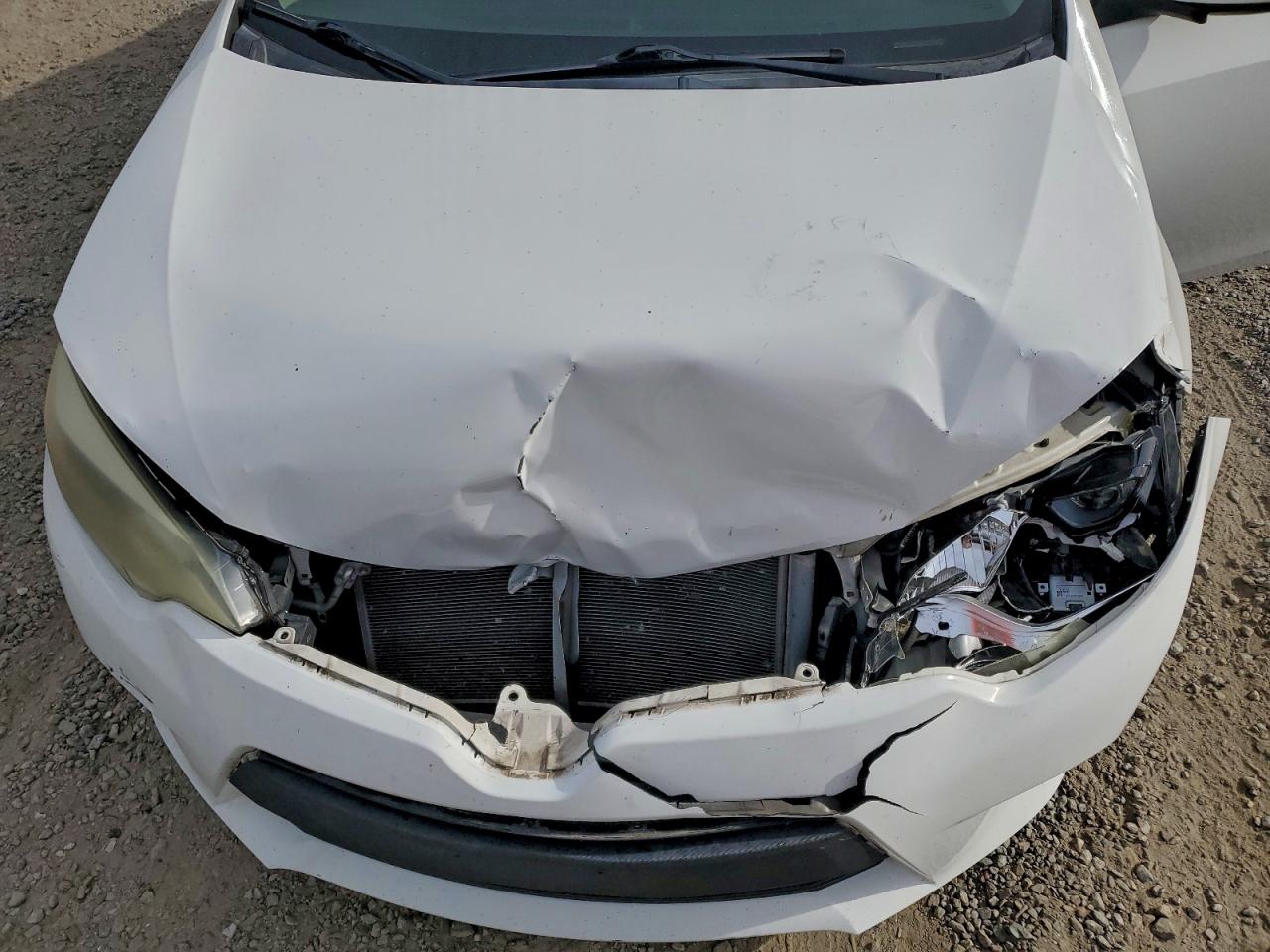 Toyota Corolla L Image 9