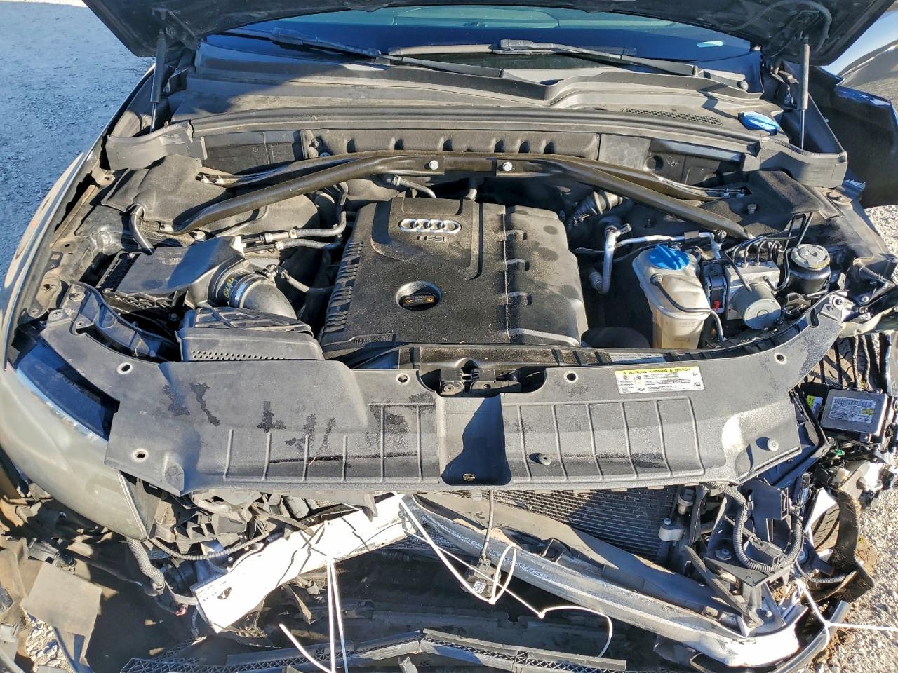 Audi Q5 Premium Plus Image 11