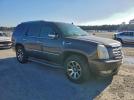 Cadillac Escalade Luxury Image 12